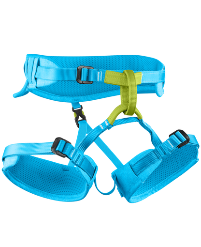 Blue climbing harness with green accents on a white background