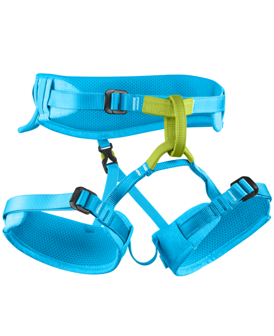 Blue climbing harness with green accents on a white background